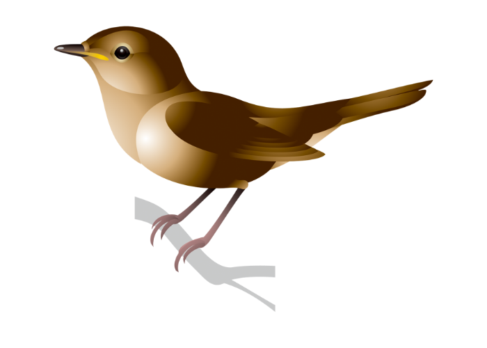 「鳥」