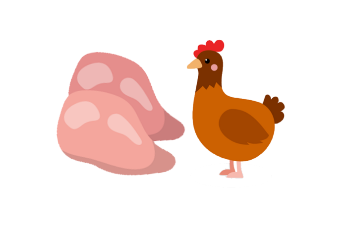 「鶏肉」