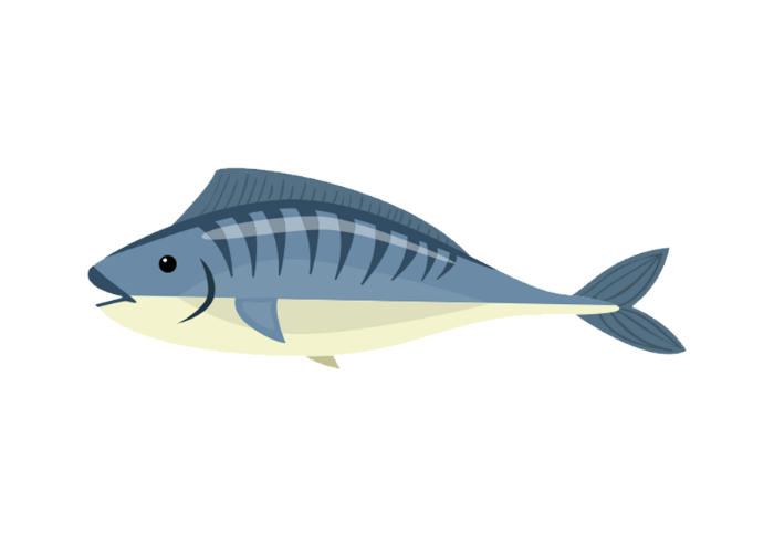 「魚」