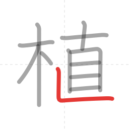 「植」の書き順 第12画／全12画
