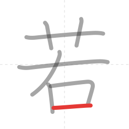 「若」の書き順 第8画／全8画