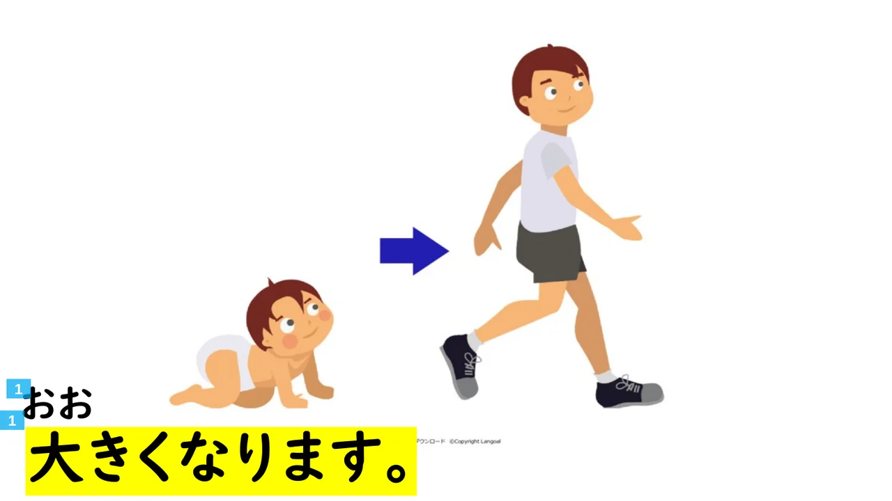 Slide 75